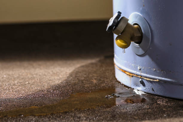 Best Sewage cleanup and water damage restoration  in Holly Lake Ranch, TX