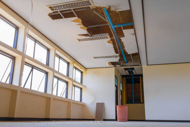 Best Commercial water damage restoration  in Holly Lake Ranch, TX