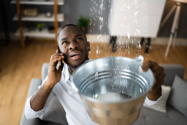 Best Emergency water damage restoration  in Holly Lake Ranch, TX