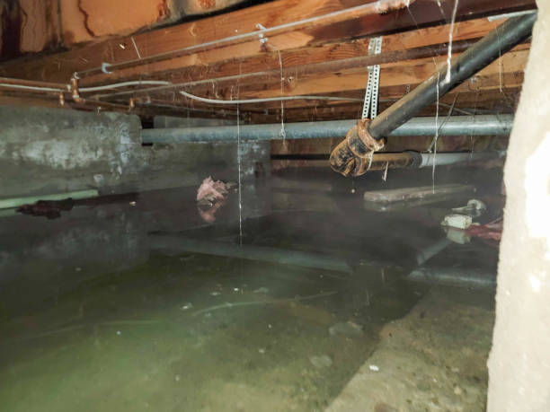 Best Ceiling water damage repair  in Holly Lake Ranch, TX