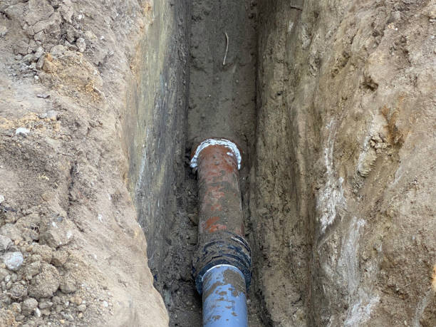  Holly Lake Ranch, TX Water damage restoration Pros