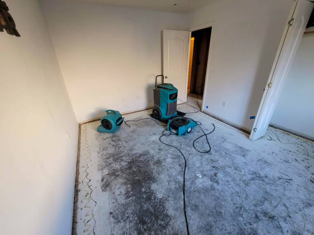 Best Flood damage cleanup  in Holly Lake Ranch, TX