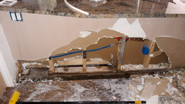Best Carpet water damage restoration  in Holly Lake Ranch, TX